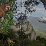 Caribbean Mammal Extinction Studies Help Biologists Care For Living Animals Today