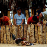 Crack Down On The Horrific Blood Sport Of Cockfighting: OP-ED