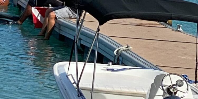 Sarm's Boyfriend Told Coast Guard British Woman 'Might Have Fallen Off The Boat'