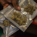 Californian Man With 6.6 Pounds Of Marijuana At Airport Gets No Jail Time