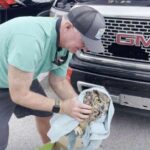 Traveling Owl: Man Drives Hours With Bird Stuck In Truck’s Grille