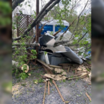 Water-Loo? Tree Takes Battlefield Prisoner In Portable Toilet