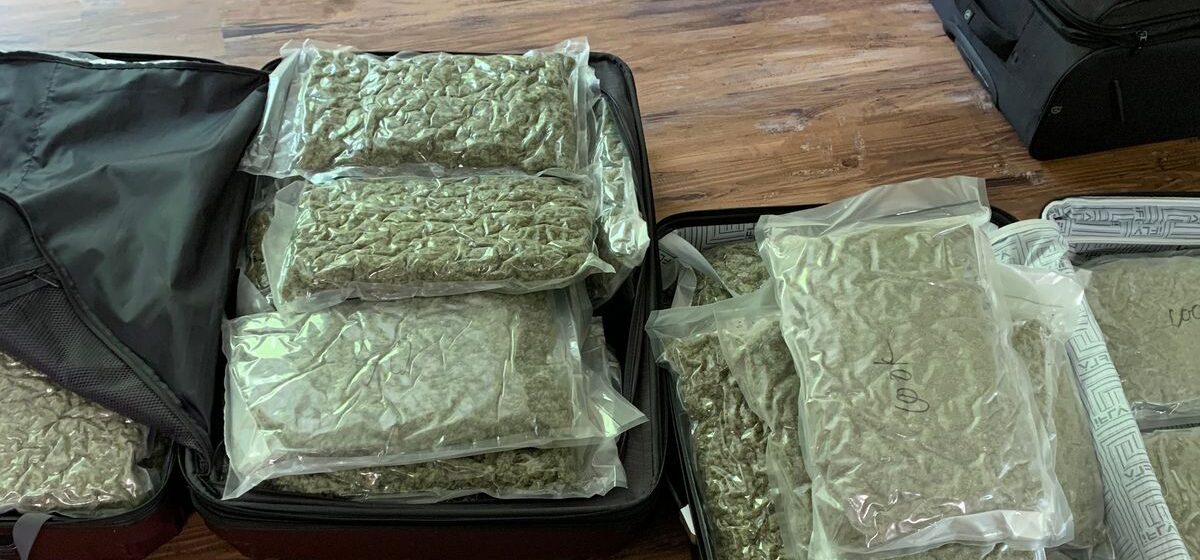 Orlando Man With 27 Pounds Of Marijuana In Suitcases Pleads Guilty To Avoid Trial