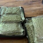 Orlando Man With 27 Pounds Of Marijuana In Suitcases Pleads Guilty To Avoid Trial