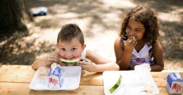 2021 Summer Feeding Program Details Announced By VIDE