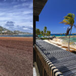 Tons of Brown, Stinky Seaweed Washing Up On USVI Shores … Get Ready For More