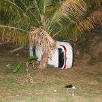 3 Minors And 19-Year-Old Shot By Police After Crashing Stolen SUV In La Grange