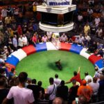 Can Congress Prohibit Cockfighting In Puerto Rico Via Its Commerce Power?