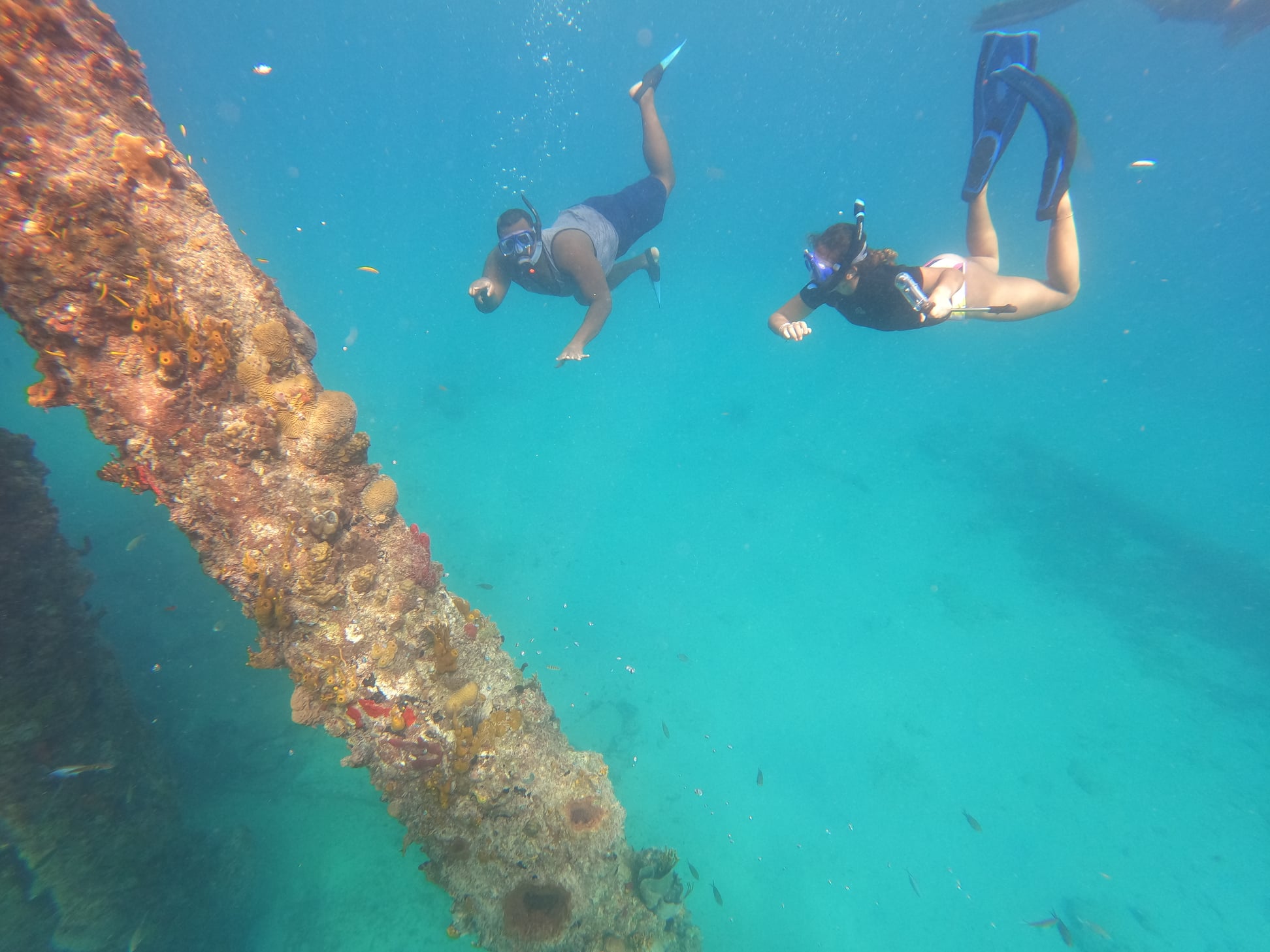 DPNR Interns Learn First-Hand The Effects Of Global Warming On St. Croix Corals