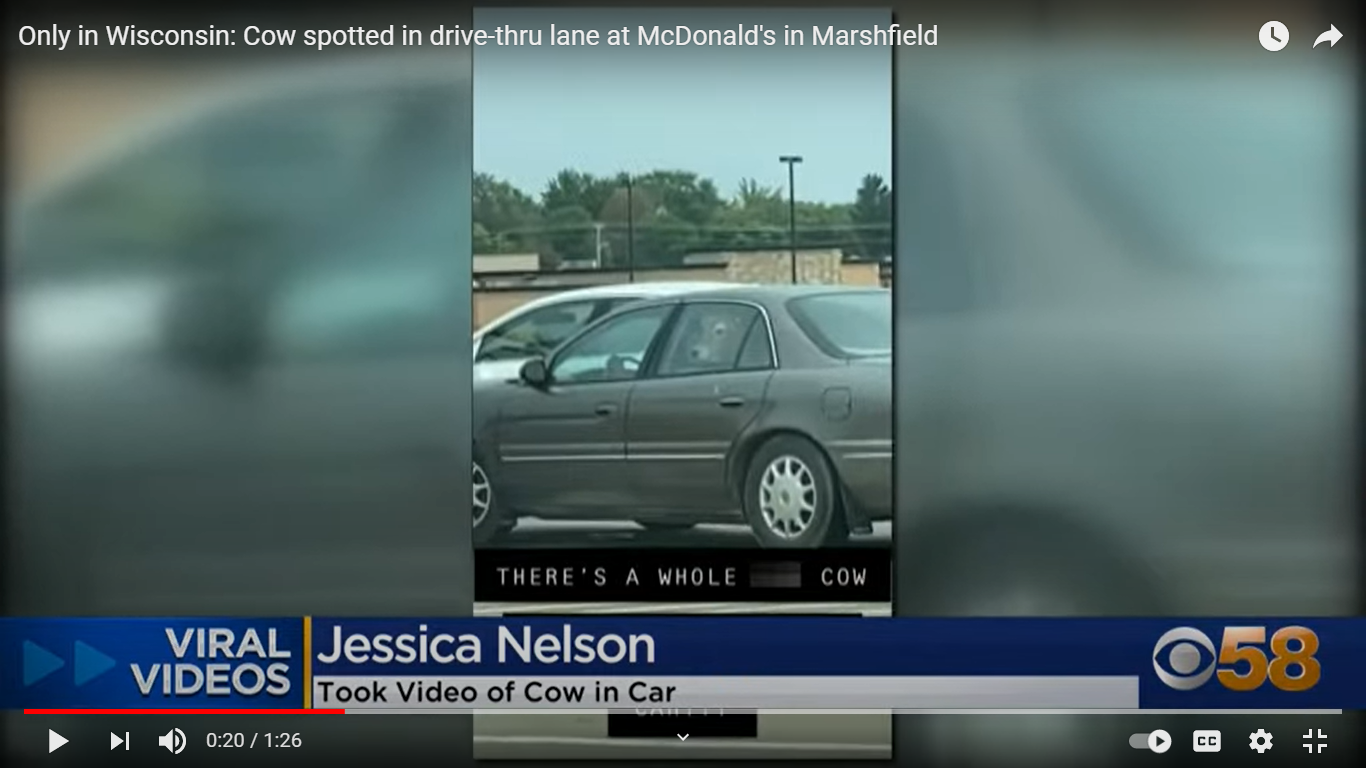 Spotted: Cow At A McDonald’s Drive-Through In Wisconsin