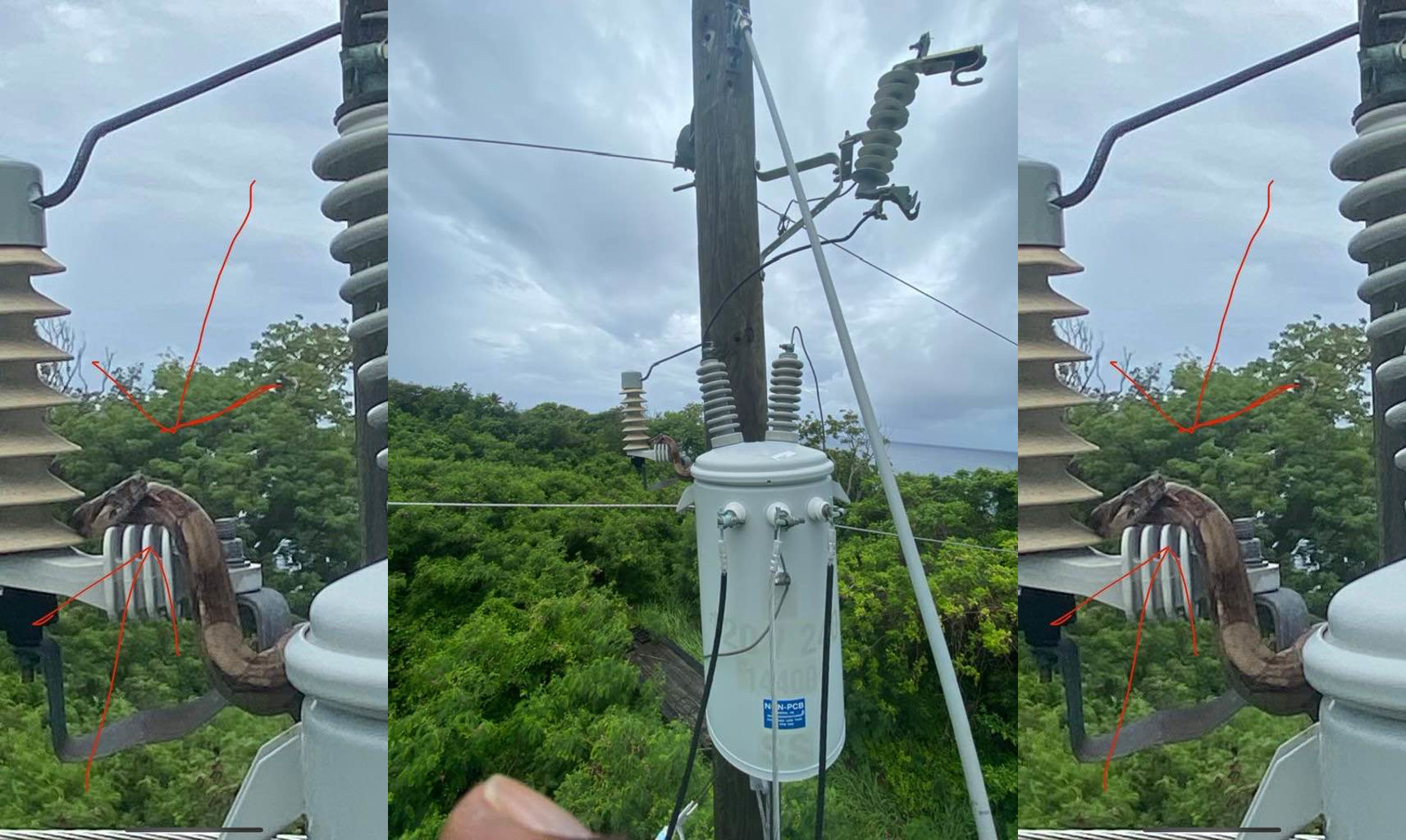 Slithering Snake On Power Line Leads To St. Croix Electrical Outage, Residents Say