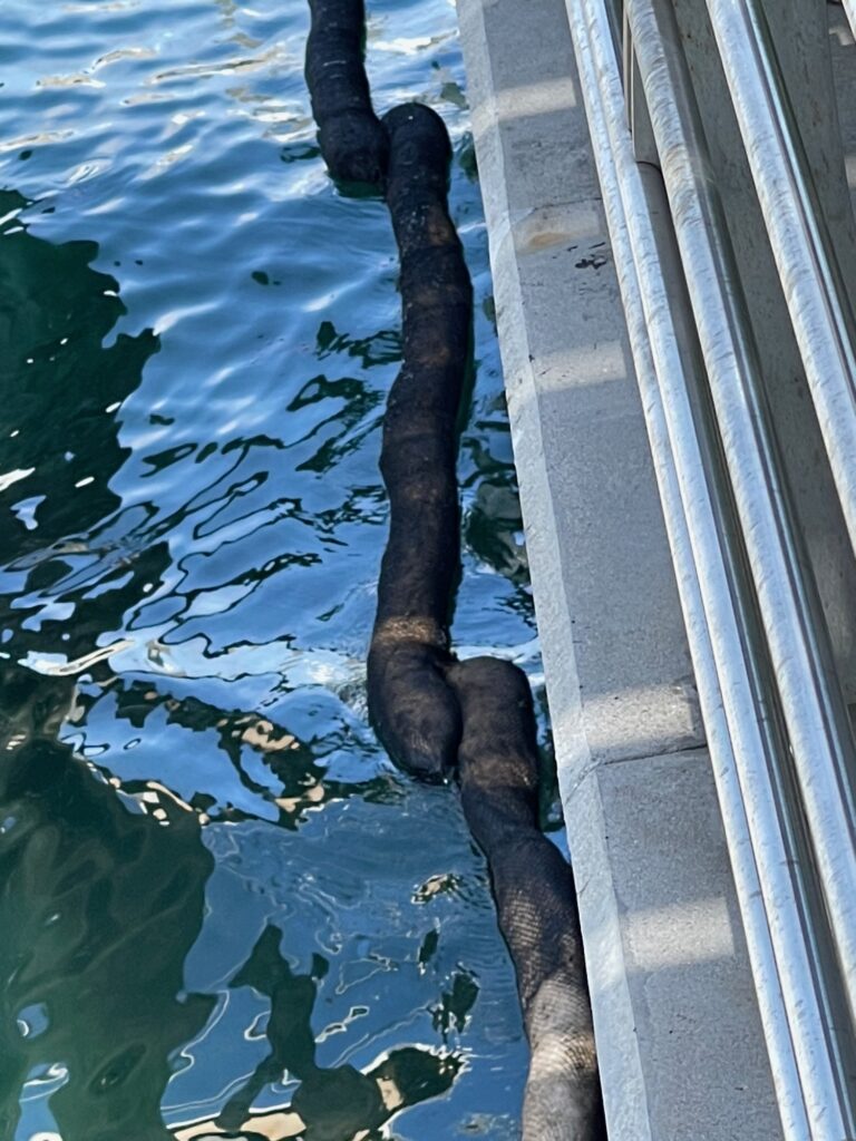 Coast Guard Responding To Unknown Source Oil Spill In San Juan Harbor