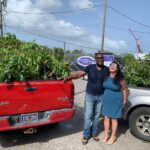 UVI’s CGTC and CFVI Donate More Than 850 Fruit Trees Territory-Wide