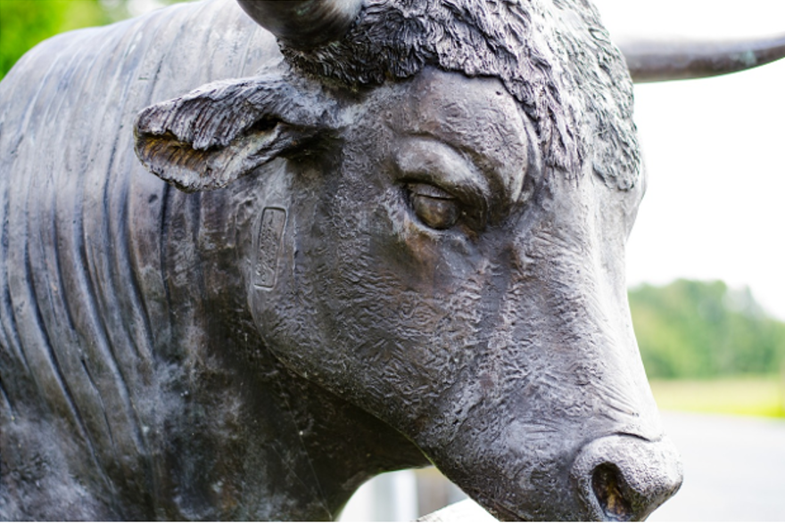 Beat The Bull Market In Q4 With Covesting Copy Trading