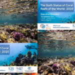 Climate Change Is Killing The World’s Coral Reefs As Oceans Warm, Study Shows