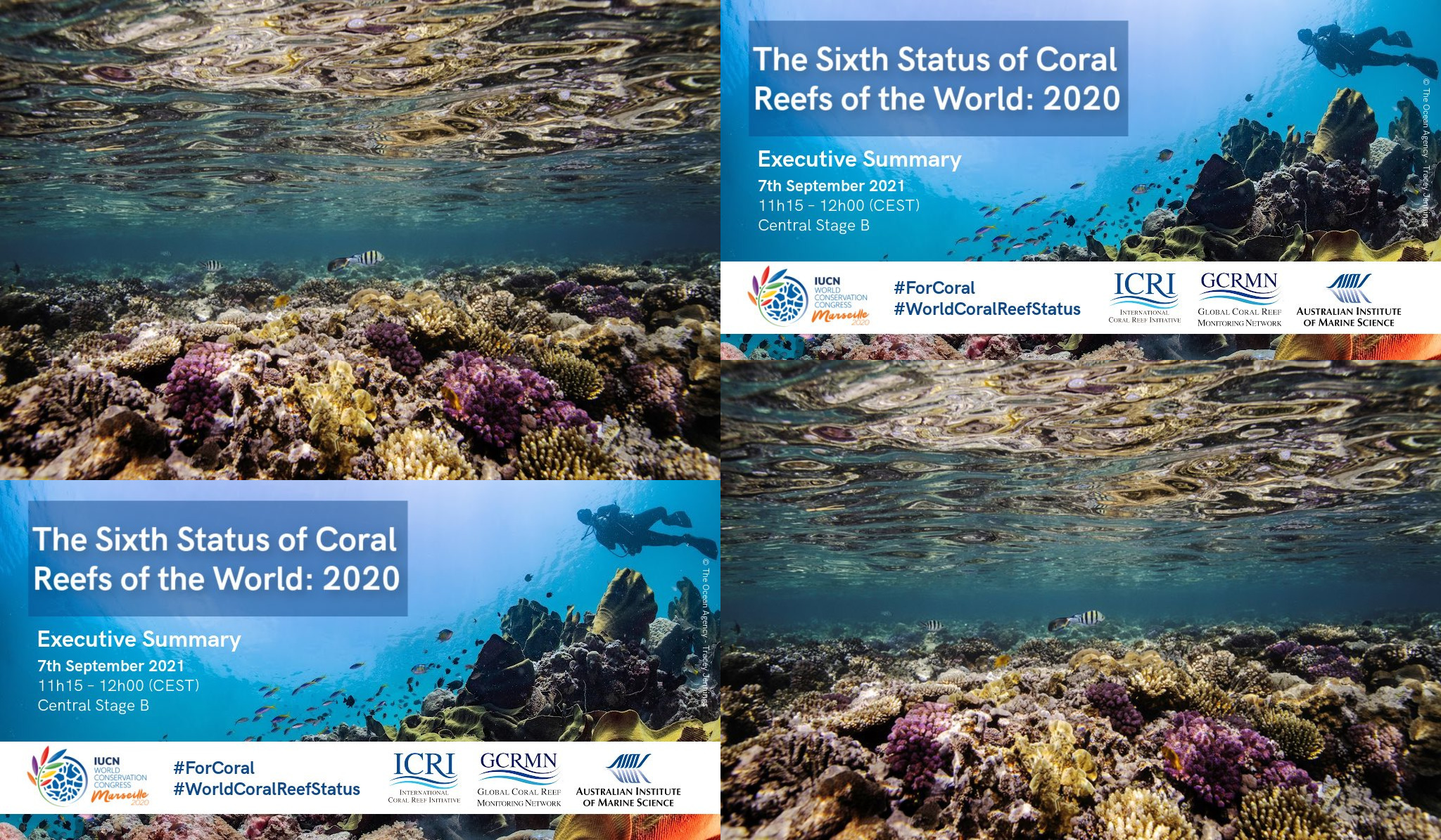 Climate Change Is Killing The World's Coral Reefs As Oceans Warm, Study Shows