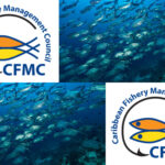 Fishermen: Our Livelihood Unsustainable Without Sound Fisheries Management