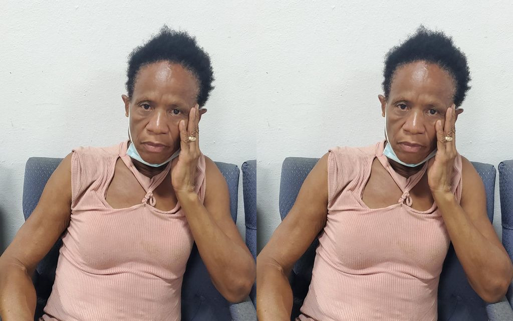 Police Need Your Help To Identify Woman Found Wandering In Estate Frydenhoj