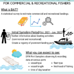 DPNR To Study Boating And Angling Activity In The U.S. Virgin Islands