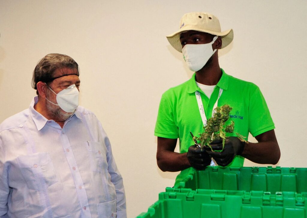 Caribbean Nation of Saint Vincent Exports First Cargo of Medical Cannabis