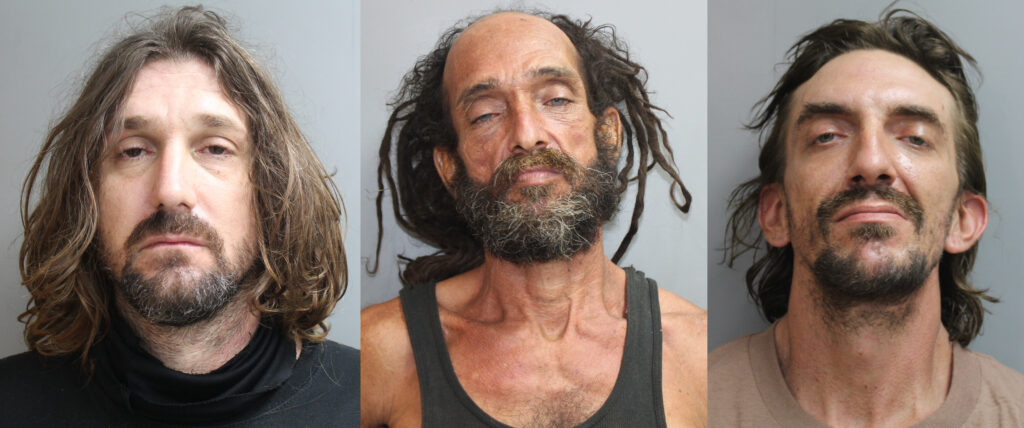 3 Men Caught Red-Handed Loading A Trailer With Stolen Goods In La Grange
