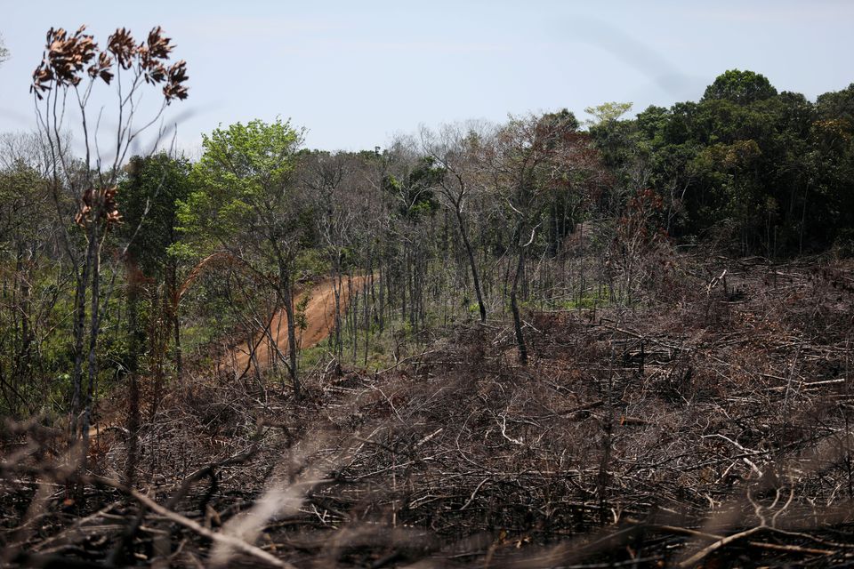 Fires In Colombia's Amazon Spark Alarm Over Deforestation