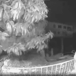 St. Croix Woman Alerted To Burglar At The Door By Video Doorbell In The Wee Hours, She Says