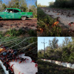 After Pandemic Peace, Fresh Swarms of Crabs Invade Cuba´s Bay of Pigs
