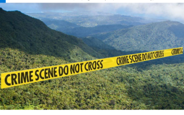 Police Investigating After Dead Body Found In El Yunque Rain Forest In Puerto Rico