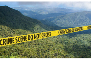 Police Investigating After Dead Body Found In El Yunque Rain Forest In Puerto Rico