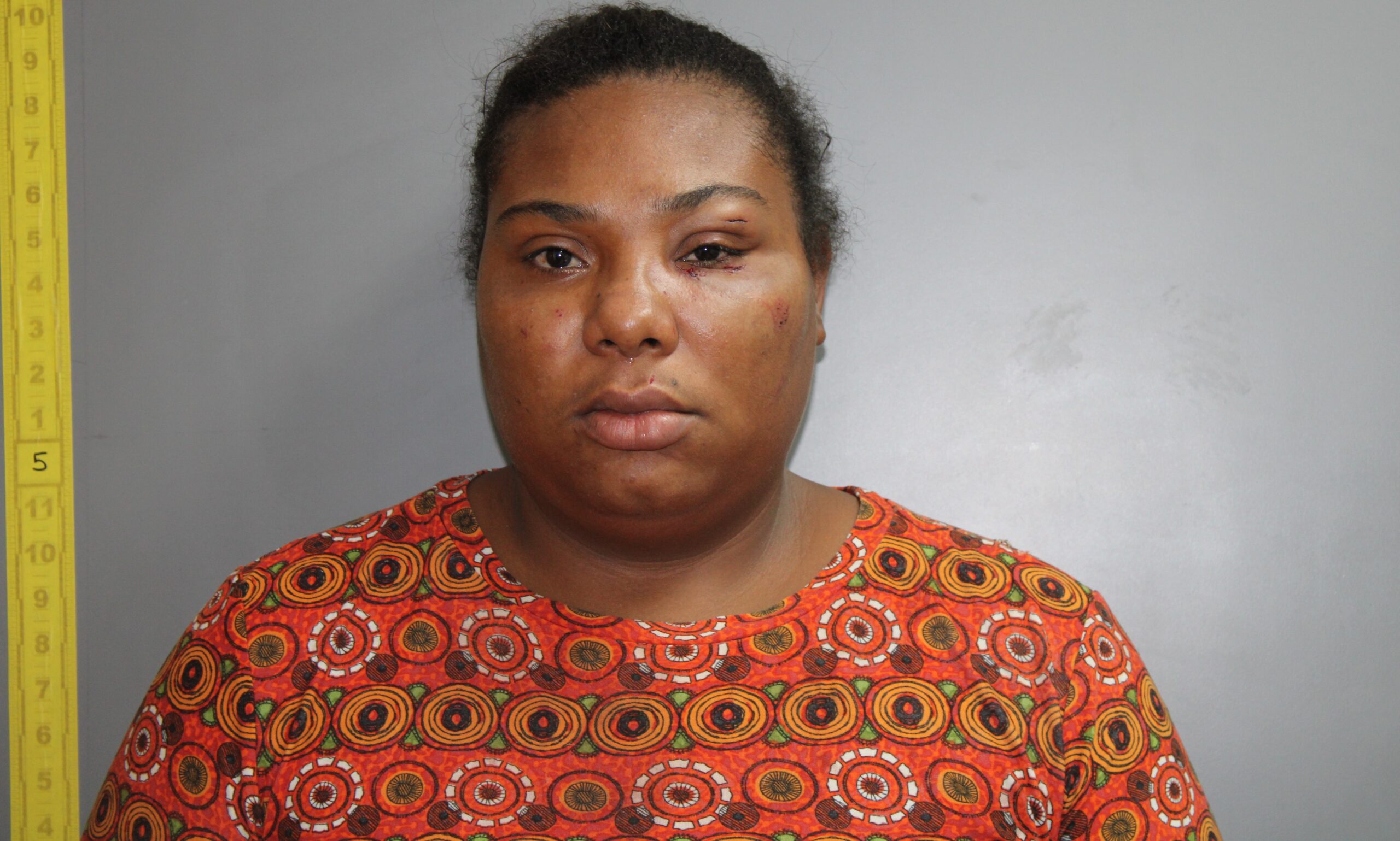 VIPD Issues Official Mugshot of Irisha Cepeda, Accused of Destruction of Property