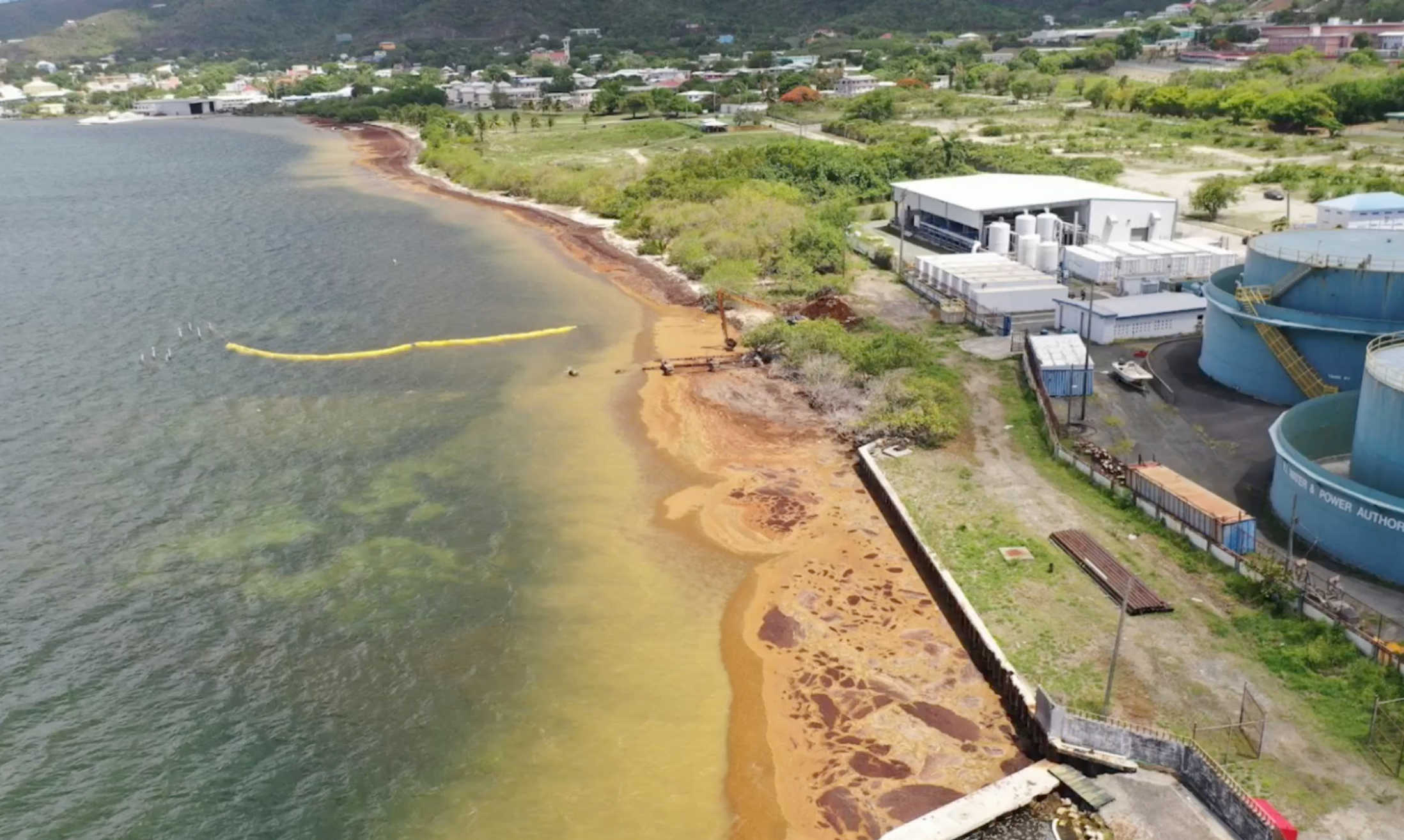 FEMA Makes On-Site Assessment of WAPA's Sargassum Seaweed Problem on St. Croix