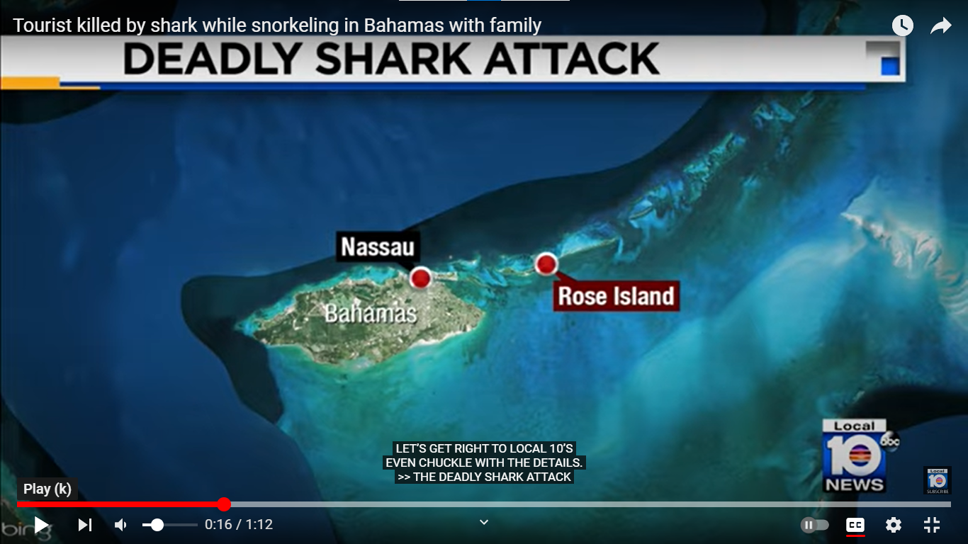 Shark Attack in the Bahamas Kills 58YearOld American Woman Virgin