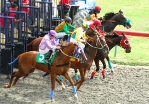 NO HORSE SENSE! What's Really Going On At USVI Race Tracks?