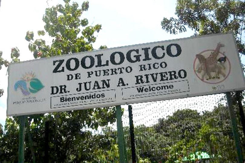 DOCTOR 'DO-LITTLE:' Officials To Transfer Animals, End Probe On Puerto Rico Zoo