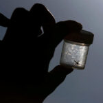 First U.S. Malaria Cases Diagnosed In Decades In Florida and Texas