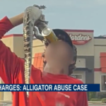 Using baby alligator in drink-chugging stunt ends with Tampa teen charged