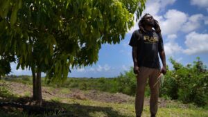 Rastafarians celebrate freedom of worship after gaining sacramental rights to marijuana in Antigua