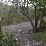 Police Investigating After St. Thomas Man Found Shot To Death On Wooded Path