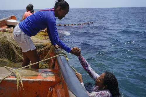 Venezuelan women increasingly taking up gruelling work of fishing in the Caribbean