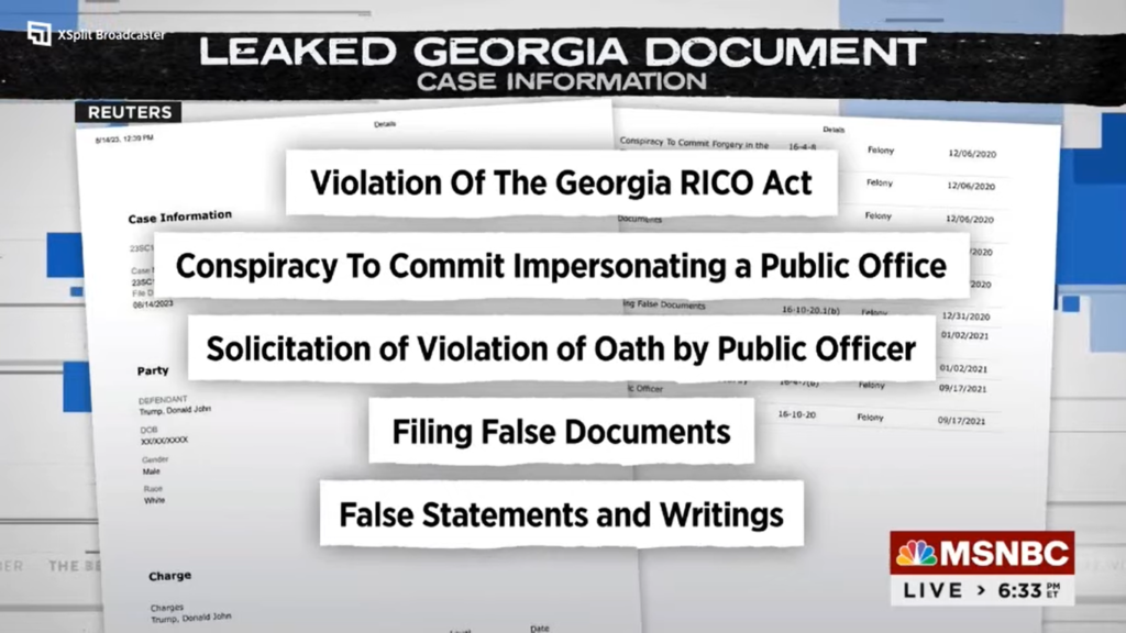Georgia court website briefly publishes, removes document about potential Trump charges