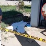 Dominican cemetery caretaker turns himself in after bodies of six newborn babies discovered