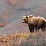 DPNR cherishes $2.1 million America the Beautiful Challenge Grant