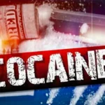 Former Cape Air employee and his drug mule given 1.6 years in prison for cocaine trafficking