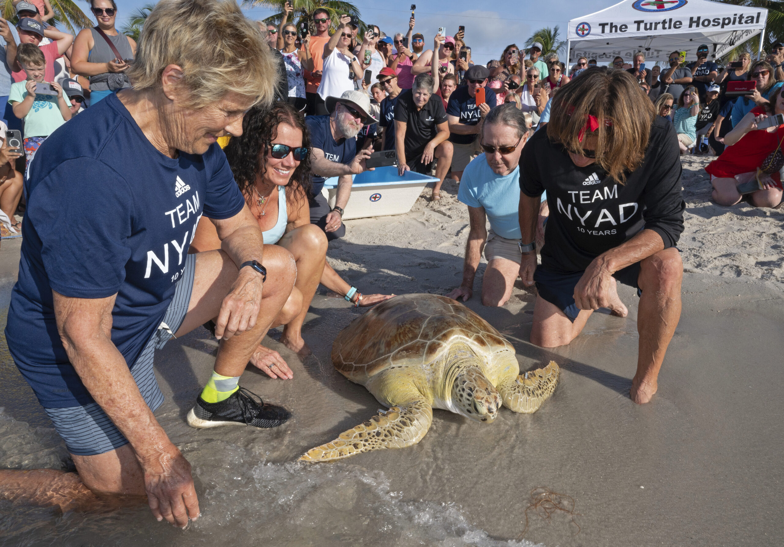Diana Nyad marks anniversary of epic Cuba-Florida swim, freeing rehabilitated sea turtle in the Keys