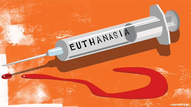 In time for Christmas, Cuba quietly authorizes euthanasia