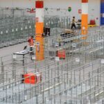 Caribbean unemployment near decade low in 2023, may reverse next year, UN labor agency says