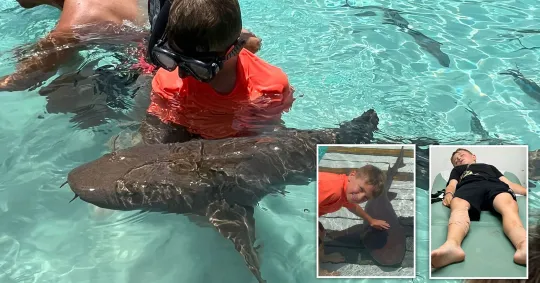 Maryland boy, 10, attacked by shark at Bahamas resort