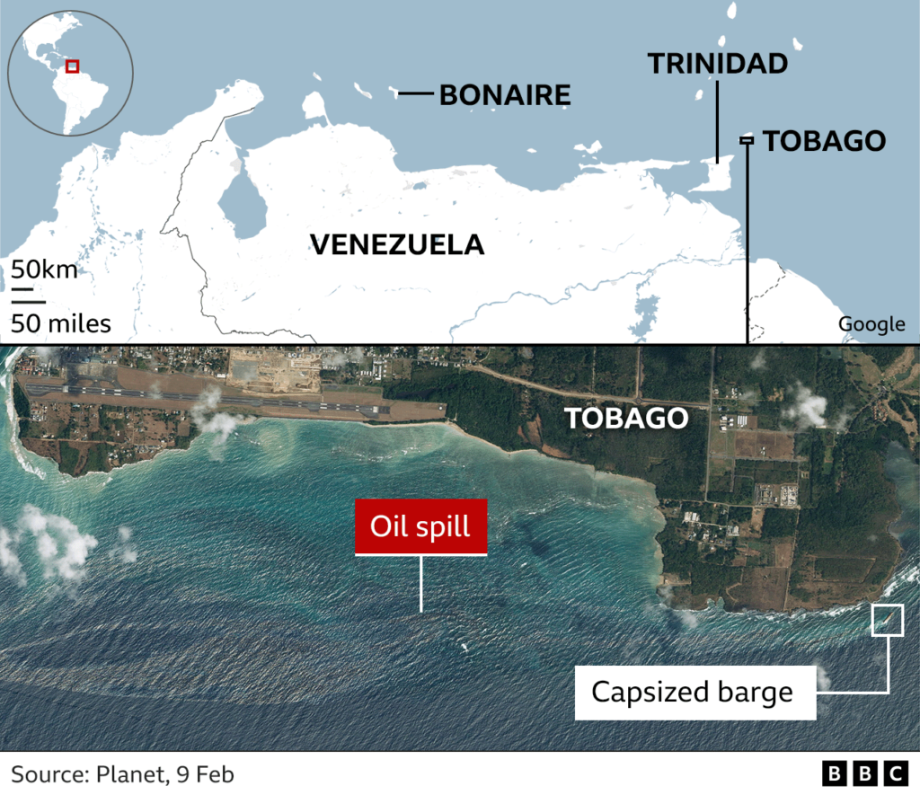 Tobago oil spill reaches Bonaire, threatening mangrove and coral ecosystems