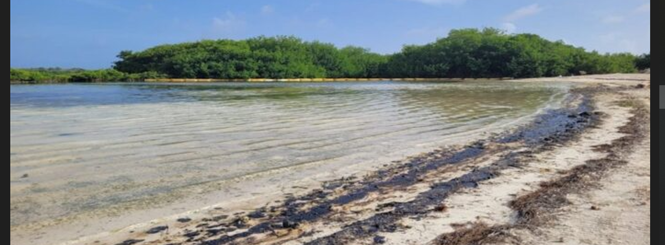Tobago oil spill reaches Bonaire, threatening mangrove and coral ecosystems